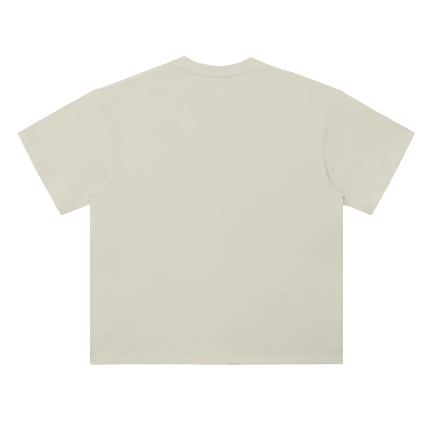 Not So Friendly - Drop Shoulder T-Shirt - 300 GSM